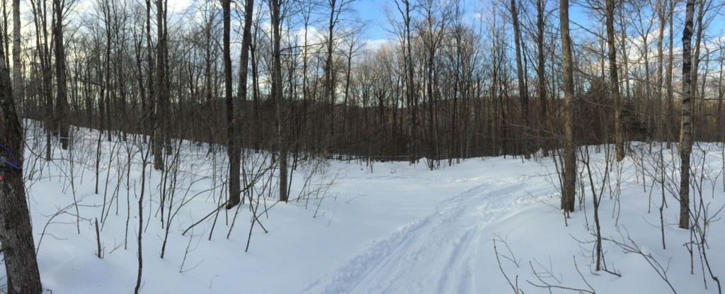 WestHill is part of the Sutton mountain range which is part of the larger Green Mountains of Vermont. La colline Westhill fait parti des monts Sutton qui sont eux même une extension des Montagnes Vertes du Vermont.